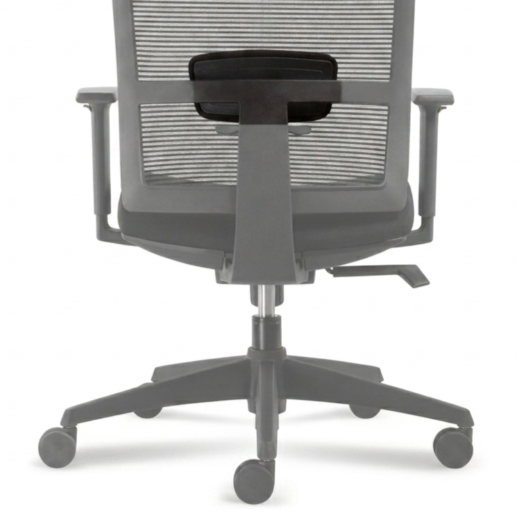 Office Chair Lumbar Support