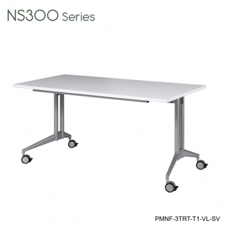 NS 300